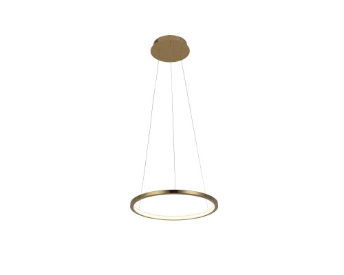 Подвесной светодиодный светильник Loft IT Ring 10014S Подвесной светодиодный светильник Loft IT Ring 10014S