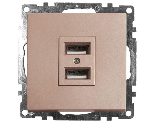 Розетка 2хUSB Stekker Катрин шампань GLS10-7115-02 39602 Розетка 2хUSB Stekker Катрин шампань GLS10-7115-02 39602