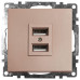 Розетка 2хUSB Stekker Катрин шампань GLS10-7115-02 39602