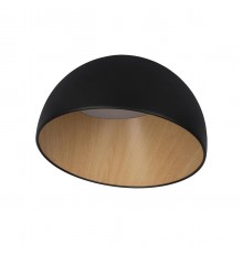 Потолочный светодиодный светильник Loft IT Egg 10197/350 Black