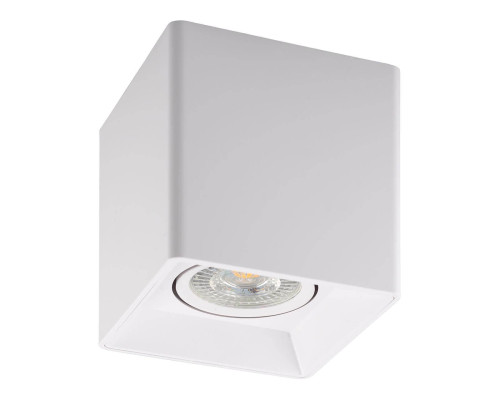 Потолочный светильник Denkirs DK3030-WH Потолочный светильник Denkirs DK3030-WH