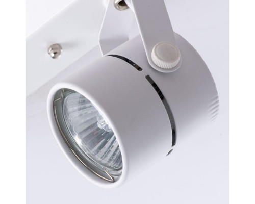 Потолочный светильник Arte Lamp A1311PL-2WH