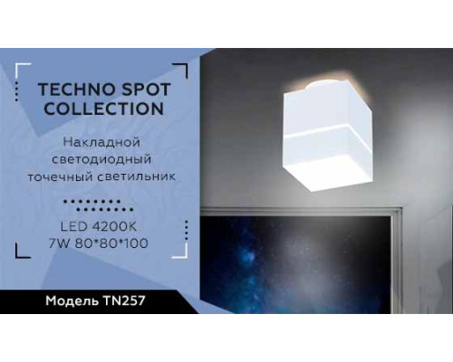 Потолочный светодиодный светильник Ambrella light Techno Spot TN257 Потолочный светодиодный светильник Ambrella light Techno Spot TN257