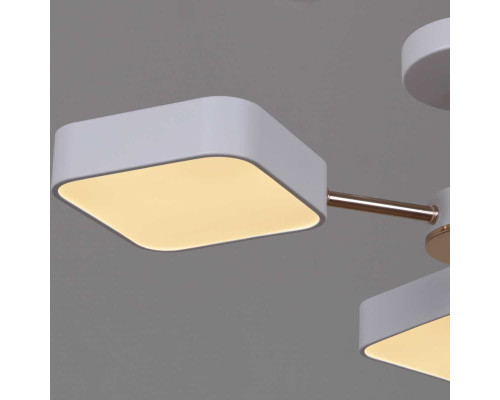 Светильник потолочный Reluce 03360-0.3-05 WH+FGD