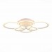 Потолочная светодиодная люстра Evoluce Cerina SLE500552-06RGB
