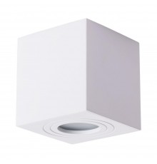 Потолочный светильник Arte Lamp Galopin A1461PL-1WH