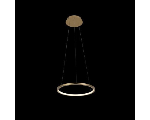 Подвесной светодиодный светильник Loft IT Ring 10014S Подвесной светодиодный светильник Loft IT Ring 10014S
