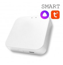 Конвертер WI-FI EKS Colibri Smart 0У-00002005