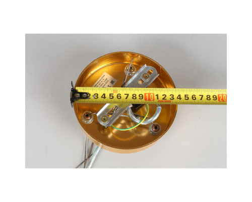 Подвесная люстра Aployt Gertunia APL.847.03.13