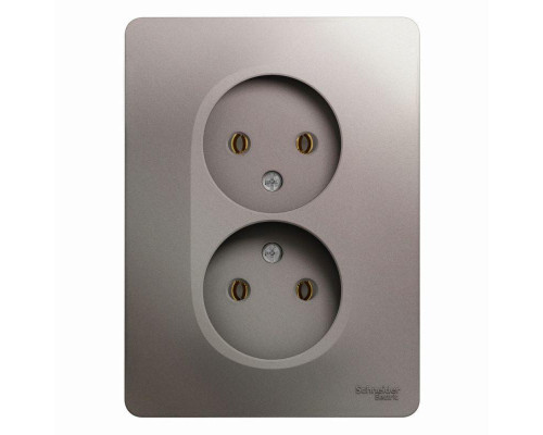 Розетка двойная 2К Systeme Electric Glossa 16A 250V платина GSL001220 Розетка двойная 2К Systeme Electric Glossa 16A 250V платина GSL001220