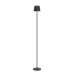 Аккуммуляторный сенсорный торшер Eglo MANNERA-L 901748