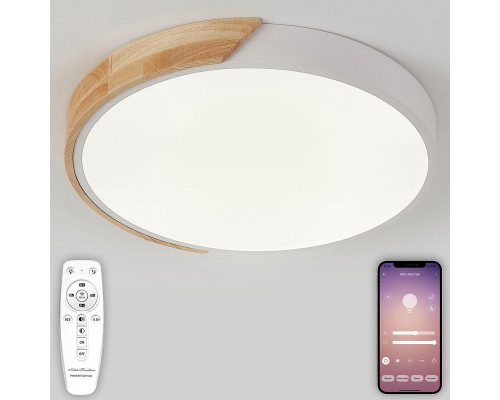 Потолочная люстра Natali Kovaltseva SCANDINAVIAN LED LAMPS 81181 Потолочная люстра Natali Kovaltseva SCANDINAVIAN LED LAMPS 81181