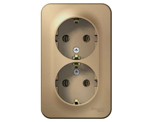 Розетка двойная 2К+З Systeme Electric Blanca 16A 250V титан BLNRA010214 Розетка двойная 2К+З Systeme Electric Blanca 16A 250V титан BLNRA010214