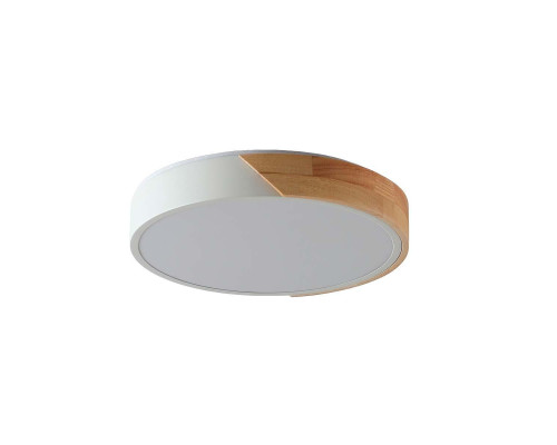 Потолочный светильник Zortes ALBERRO ZRS.01239.90 Потолочный светильник Zortes ALBERRO ZRS.01239.90