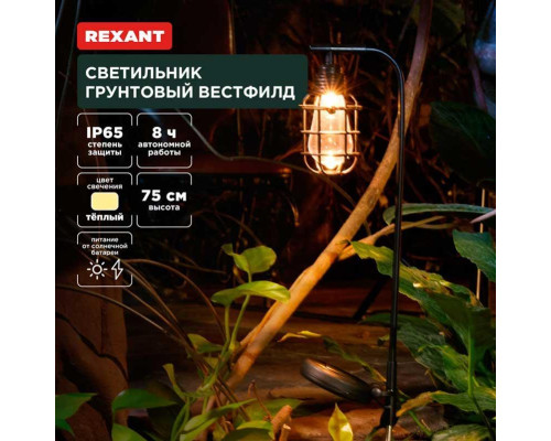 Ландшафтный светильник REXANT 602-2425 Ландшафтный светильник REXANT 602-2425