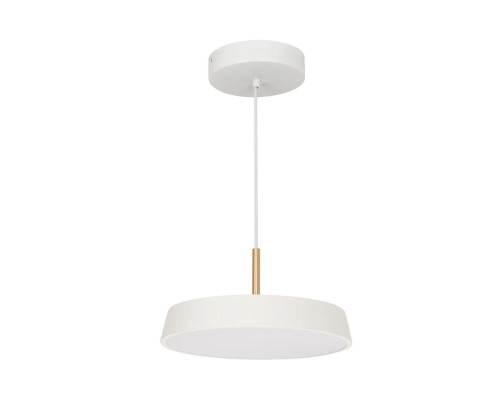 Подвесной светодиодный светильник Arlight SP-Elegant-R300-17W Warm3000 033914(1) Подвесной светодиодный светильник Arlight SP-Elegant-R300-17W Warm3000 033914(1)