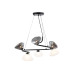 Подвесная люстра Ambrella light High Light LH15003