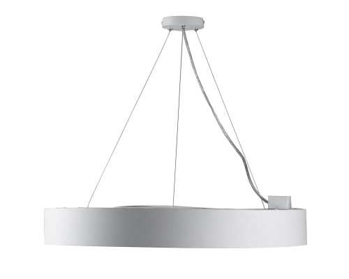 Подвесной светодиодный cветильник Geometria ЭРА Ring SPO-134-W-40K-056 56Вт 4000К белый Б0050564