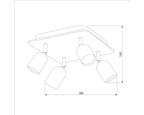 Спот TK Lighting 4418 Top