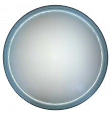 Настенно-потолочный светильник Toplight Portia TL1128-1Y