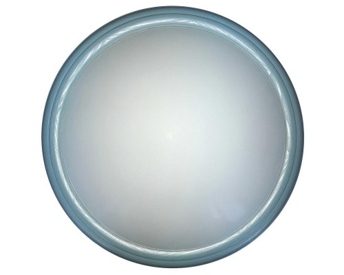 Настенно-потолочный светильник Toplight Portia TL1128-1Y