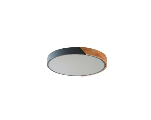 Потолочный светильник Zortes ALBERRO ZRS.01280.36 Потолочный светильник Zortes ALBERRO ZRS.01280.36