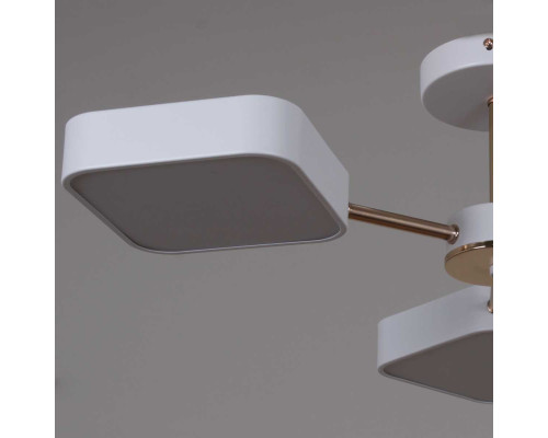 Светильник потолочный Reluce 03360-0.3-05 WH+FGD