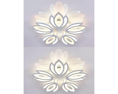Потолочная светодиодная люстра Natali Kovaltseva Led Lamps 81124