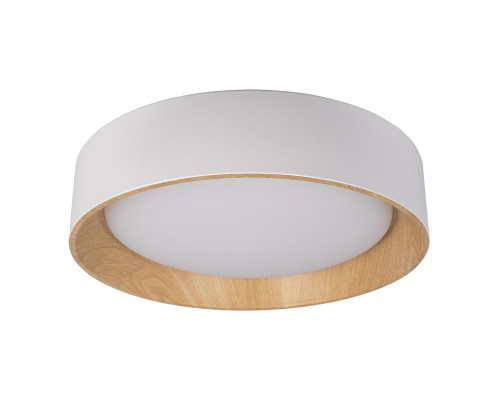 Потолочный светодиодный светильник Loft IT Coin 10202 White