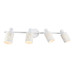 Настенно-потолочный спот Ambrella light TRADITIONAL TR8666