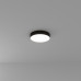 Потолочный светодиодный светильник Arte Lamp Fado A7335PL-1BK