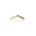 Потолочный светильник Zortes ALBERRO ZRS.01285.60