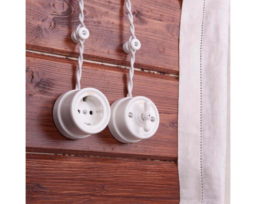 Розетка с заземлением Werkel Ретро белый W5671001 4690389166792