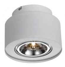 Потолочный светильник Arte Lamp Cliff A5643PL-1WH