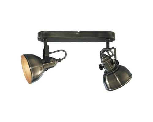 Спот Arte Lamp Martin A5213AP-2AB