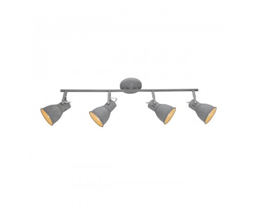 Спот Arte Lamp A1677PL-4GY