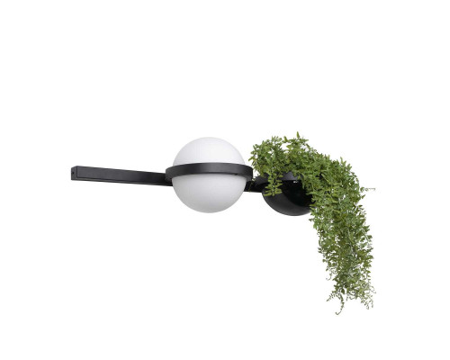 Настенный светильник LOFT IT Jardin 10121W/A Настенный светильник LOFT IT Jardin 10121W/A