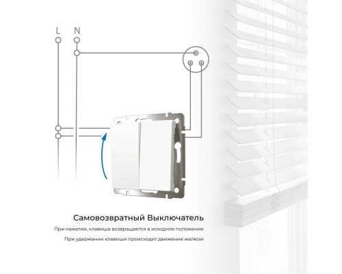 Выключатель двухклавишный с самовозвратом Werkel белый W1122401 4690389192319