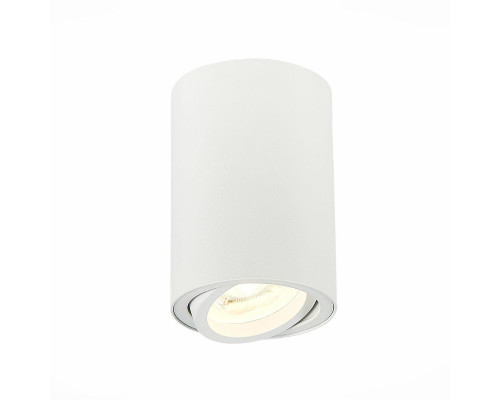 Потолочный светильник ST Luce ST108.507.01 Потолочный светильник ST Luce ST108.507.01