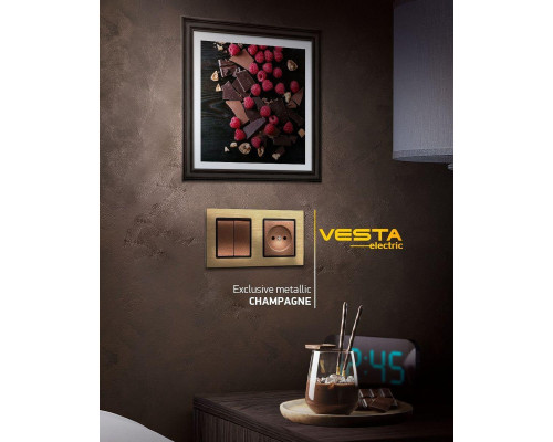 Рамка 2-постовая Vesta-Electric Exclusive Silver Champagne шампань FRM050201BSH Рамка 2-постовая Vesta-Electric Exclusive Silver Champagne шампань FRM050201BSH