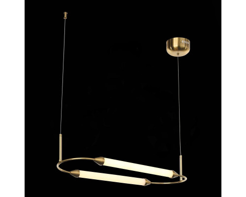 Подвесной светодиодный светильник ST Luce Olbia SL6004.313.02 Подвесной светодиодный светильник ST Luce Olbia SL6004.313.02