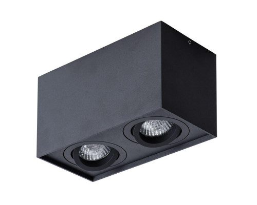 Потолочный светильник Arte Lamp Factor A5544PL-2BK Потолочный светильник Arte Lamp Factor A5544PL-2BK