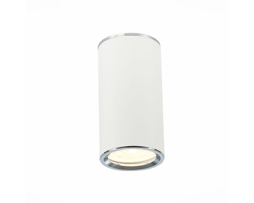 Потолочный светильник ST Luce ST111.507.01 Потолочный светильник ST Luce ST111.507.01