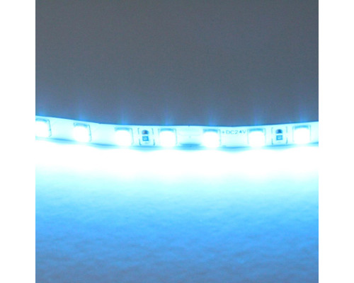 Светодиодная лента Lightstar 12W/m 120LED/m голубой 5M 420516