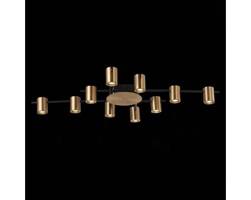 Потолочная люстра ST Luce Veroli SL1207.402.10 Потолочная люстра ST Luce Veroli SL1207.402.10