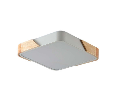 Потолочный светильник Zortes ALBERRO ZRS.01285.60 Потолочный светильник Zortes ALBERRO ZRS.01285.60