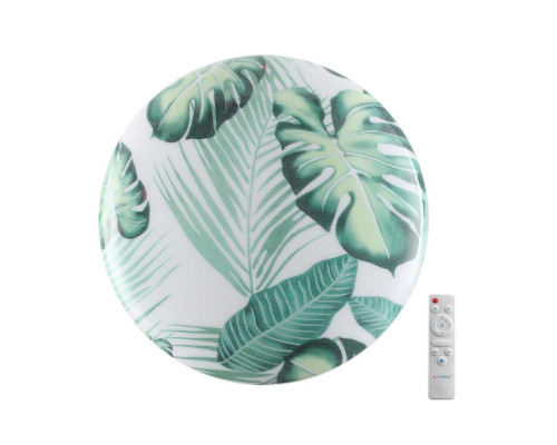 Настенно-потолочный светодиодный светильник Sonex Pale Flori 7748/EL