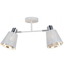 Потолочный светильник ILLUMICO IL6116-2COU-79 WH CR Abelie