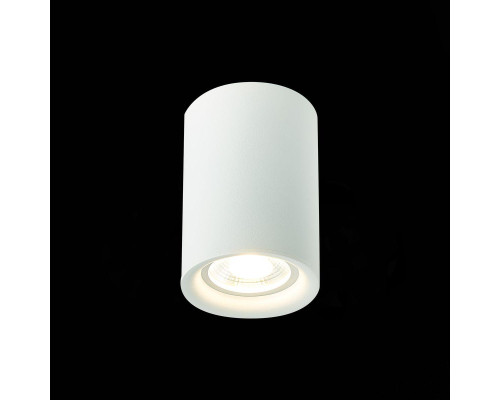 Потолочный светильник ST Luce ST114.507.01 Потолочный светильник ST Luce ST114.507.01