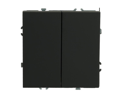 Выключатель двухклавишный Stekker Эмили черный уголь RSW10-5104-05 49840 Выключатель двухклавишный Stekker Эмили черный уголь RSW10-5104-05 49840